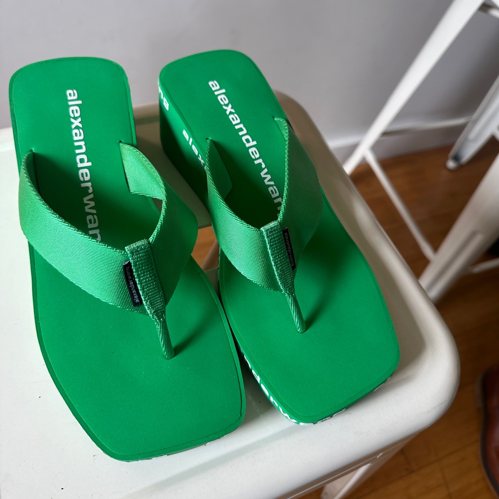Brand New Alexander Wang Flip Flops